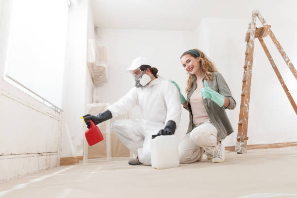 Best Mold Damage Restoration  in Colonial Pine Hills, SD